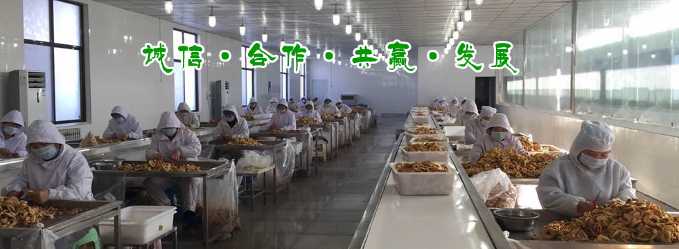 閉式雙曲軸沖床生產(chǎn)